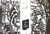 INDIVIDUALES - WISH
