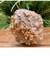 Pe de Moleque com Melado 15x300g - comprar online