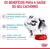 Royal Canin Puppy Filhote Mini Indoor 2,5kg - comprar online