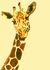 Jirafa