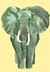 Imagen de Elefante