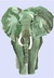 Elefante en internet
