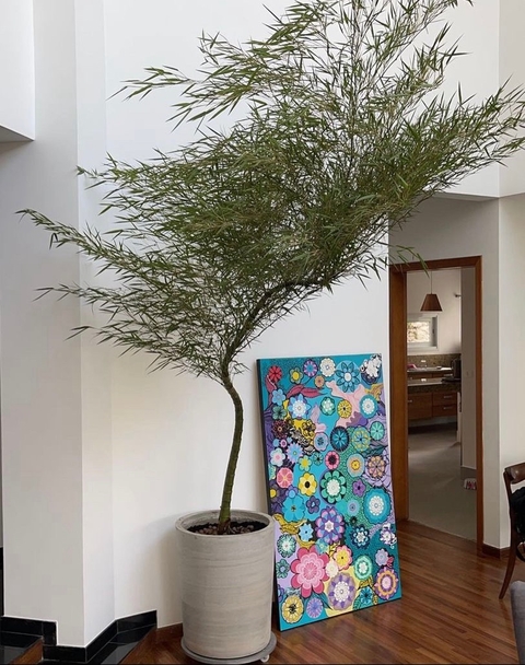 Tumbler Cimento Queimado