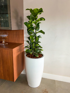 Flauta nº7 - 100cm - comprar online