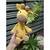 Amigurumi Girafa - comprar online