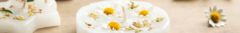 Banner da categoria Coleções
