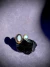 Anillo Elara