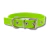 Pack x12 Collares para Perros de 2cm Reforzados | Colores Surtidos en internet