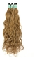 LOIRO MEL 50G (cópia)
