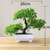 Árbol Bonsai Artificial Planta De Decoración Ornamentos - online store