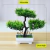 Árbol Bonsai Pino Zen Decoración Planta Artificial Adornos - buy online