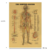 Póster Médico Vintage Del Sistema Nervioso Antiguo Pa Kraft - buy online