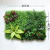 Jardín Vertical Artificial Césped Exterior/interior Plantas - buy online