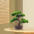 Árbol Bonsái De Pino Artificial Decoración Para El Hogar