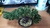 Árbol Bonsái Artificial Tipo Cascada Media Decoración Hogar - Éxito Mundial72