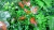 Jardín Vertical Artificial Césped Exterior/interior Plantas - online store