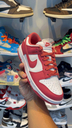 Nike Dunk Low "Archeo Pink" (W)