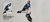 Carrusel Neggs Store | Sneakers Originais 