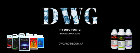 Carrusel Deep Water Garden