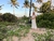 vestido Barbara offwhite - comprar online