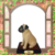 CACHORRO ESTATUETA PUG