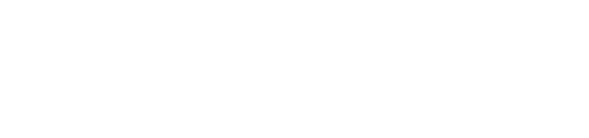 Claudia Ferratto