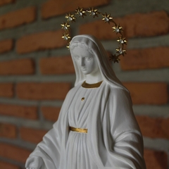 Nossa Senhora das Graças na internet