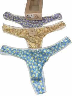BER50-(BERLIN) Pack de 3 Colaless de Microfibra Estampada