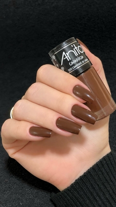 Esmalte Anita Chaminés de Fadas