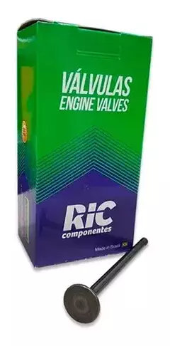 VALVULA DE ESCAP RIC - AP
