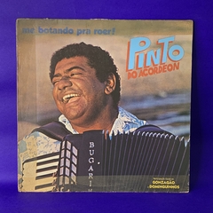 Pinto do Acordeon - me botando pra roer!