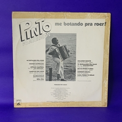 Pinto do Acordeon - me botando pra roer! - comprar online