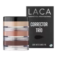 Perfecr Finish Concealer Trio