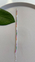 Pulseira Riviera colorida - comprar online