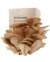 Kit de Autocultivo de Girgolas - comprar online