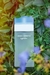 Light Blue Dolce & Gabbana Eau de Toilette - Feminino - Levon Imports