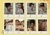 Mini Polaroides Featherington Family