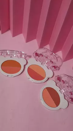 Blush duo Teddy - Vivai