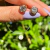 Colar e Brincos Ponto de Luz Fio de Silicone Folheado a Ouro