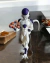 Figura coleccion - Freezer