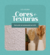 Carrusel ConcretAM - Design e funcionalidade