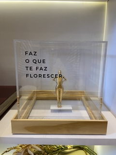 Acrílico Florescer