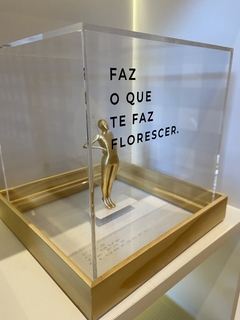 Acrílico Florescer na internet