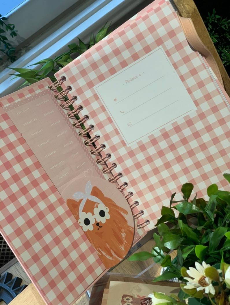 Papelaria