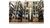 SEGMENTO ENTREDENTES 4T6695 / ITR UNIK - comprar online