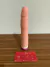 PÊNIS PRÓTESE COM VIBRO 21,5 X 4 Cm PÊNIS EM SILICONE REALÍSTICO - comprar online
