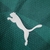 Puma Palmeiras Home 23/24 Torcedor Masculino - Verde - Drip Store | Artigos Esportivos & Snkrs Exclusivos.