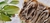 Banner rotativo 3