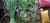 Banner rotativo 1