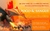 Fogo & Sangue - Volume 1. George R. R. Martin na internet